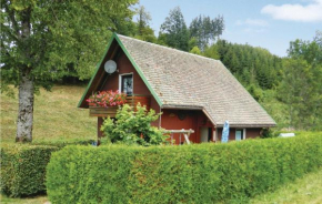 Two-Bedroom Holiday home with Mountain View in St. Märgen Sankt Peter Im Schwarzwald